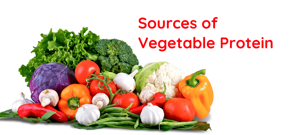 Sources of Vegetable Protein